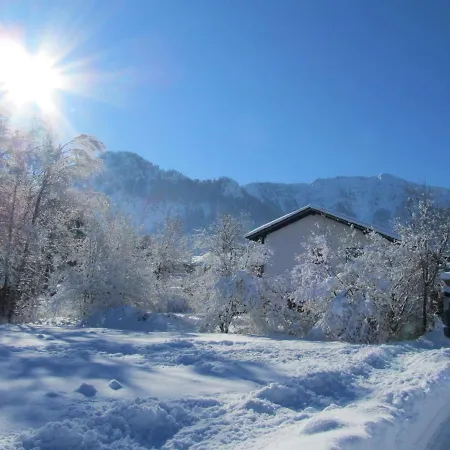 Hartwimmer - Chiemgau Karte Inzell