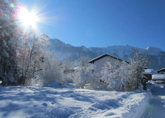Hartwimmer - Chiemgau Karte Inzell